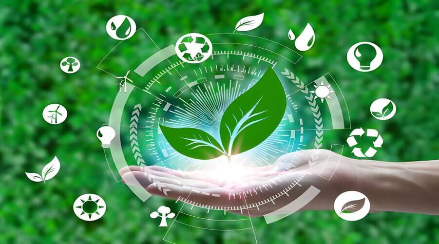 Fujian Gulei Petrochemical Company Limited