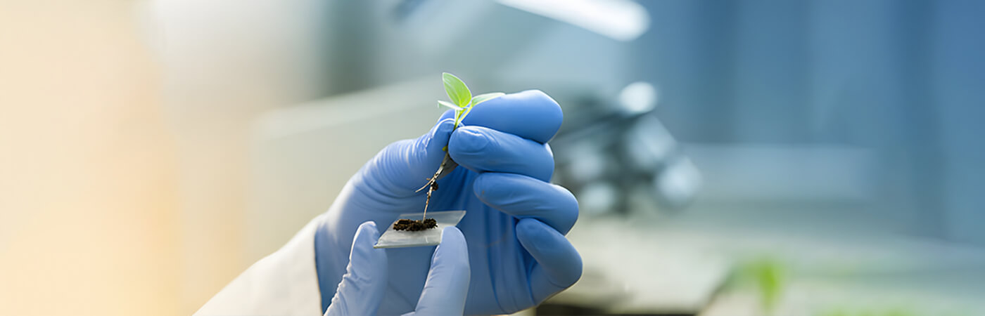 Fujian Gulei Petrochemical Company Limited