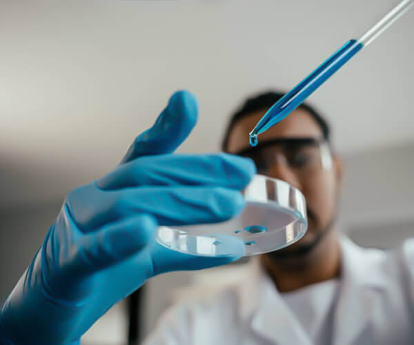 Fujian Gulei Petrochemical Company Limited