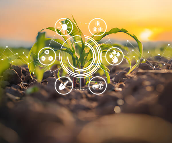 Fujian Gulei Petrochemical Company Limited